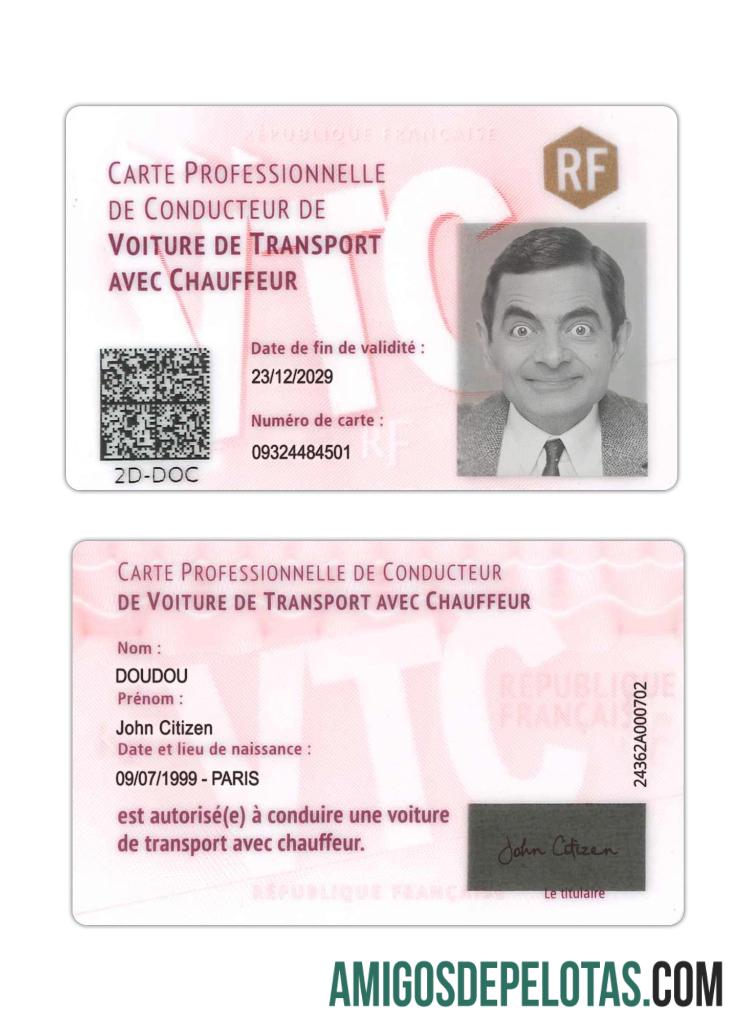Carteira de Motorista Profissional da França amostra